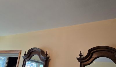 painted upper wall and ceiling