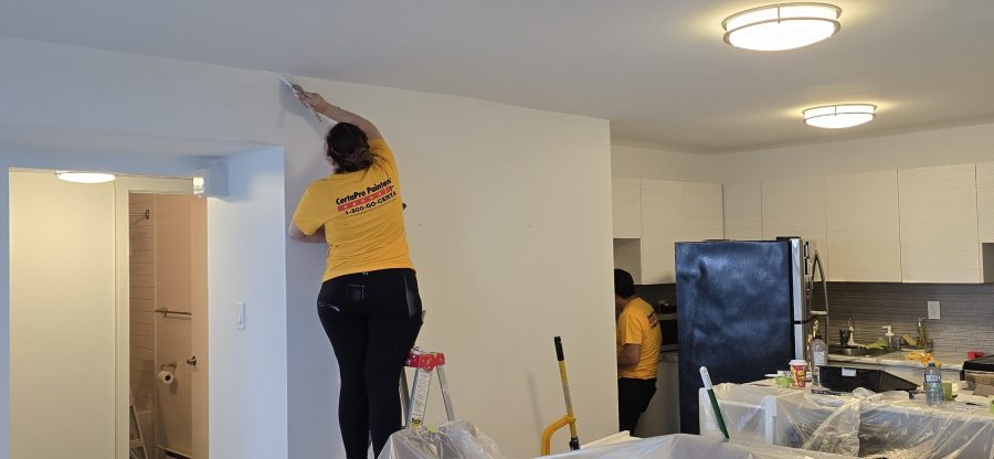 painters working in apartment home Preview Image 2