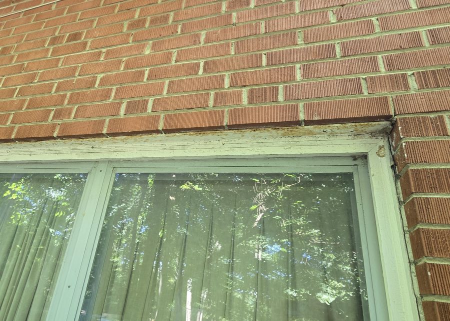 peeling paint on window frame Preview Image 9