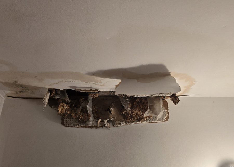 damaged drywall ceiling Preview Image 3
