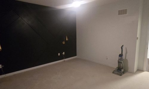 Dark Accent Wall - Before