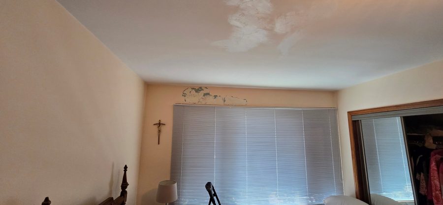 bedroom with damaged paint on wall and ceiling Preview Image 10