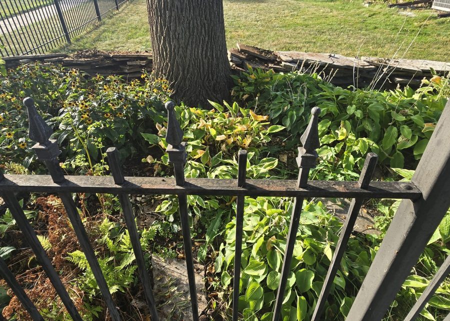 rusted wrought iron fence Preview Image 6