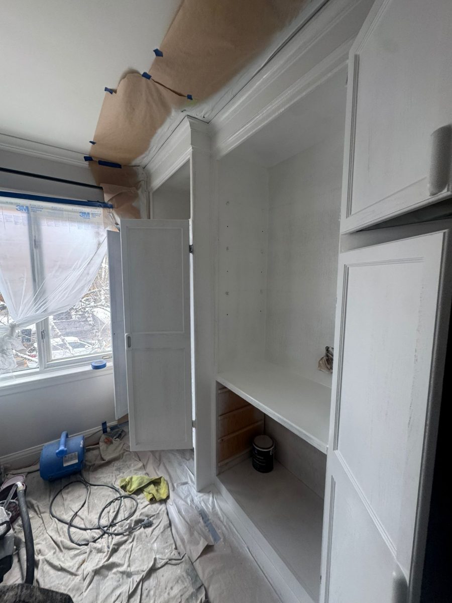 built in cabinets during white repaint Preview Image 10