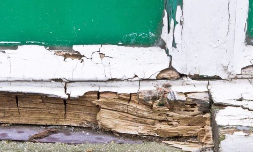 Wood Rot Repair Services