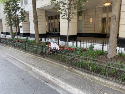 Commercial Painting Project