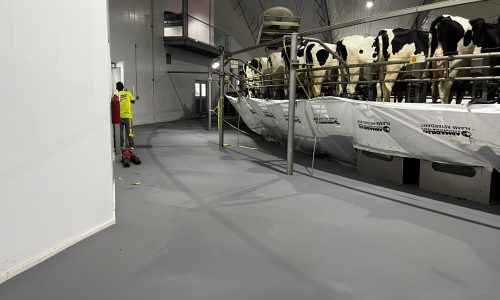 Commercial Flooring Project at Dairy Farm
