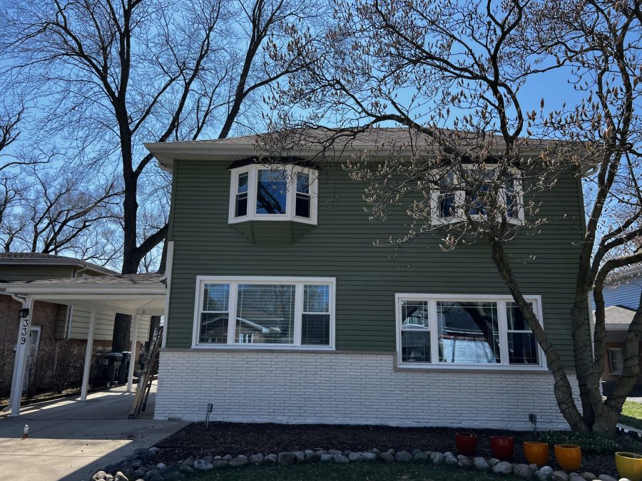 Residential Painting Project Preview Image 6