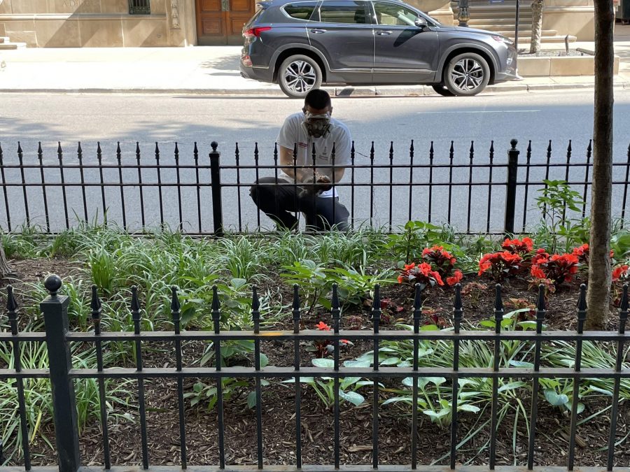 Commercial Painting Project Preview Image 3