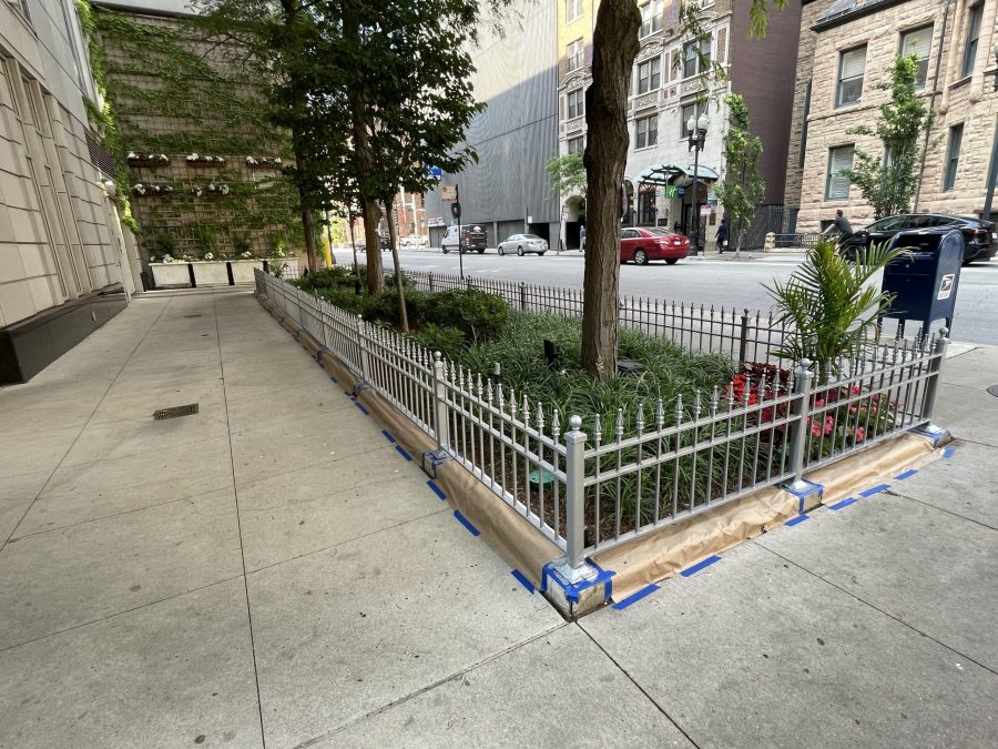 Commercial Painting Project Preview Image 9