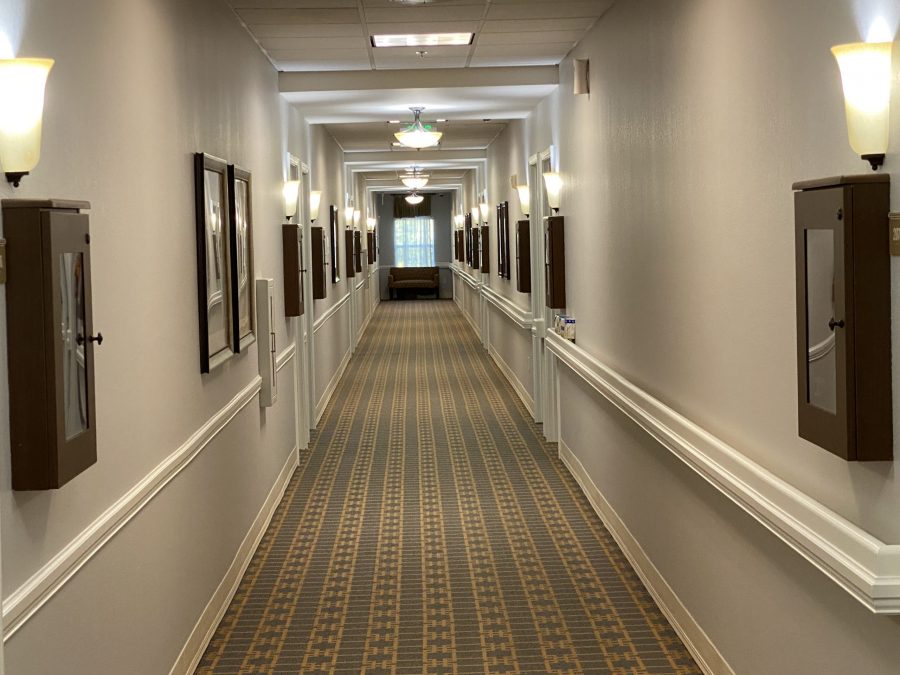 Interior Painting Hallway Preview Image 4