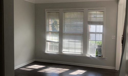 Dining Room Painting