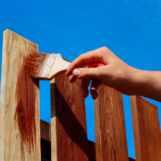 Fence Painting