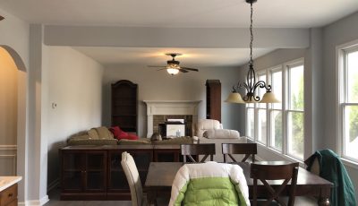 Living Room Painting