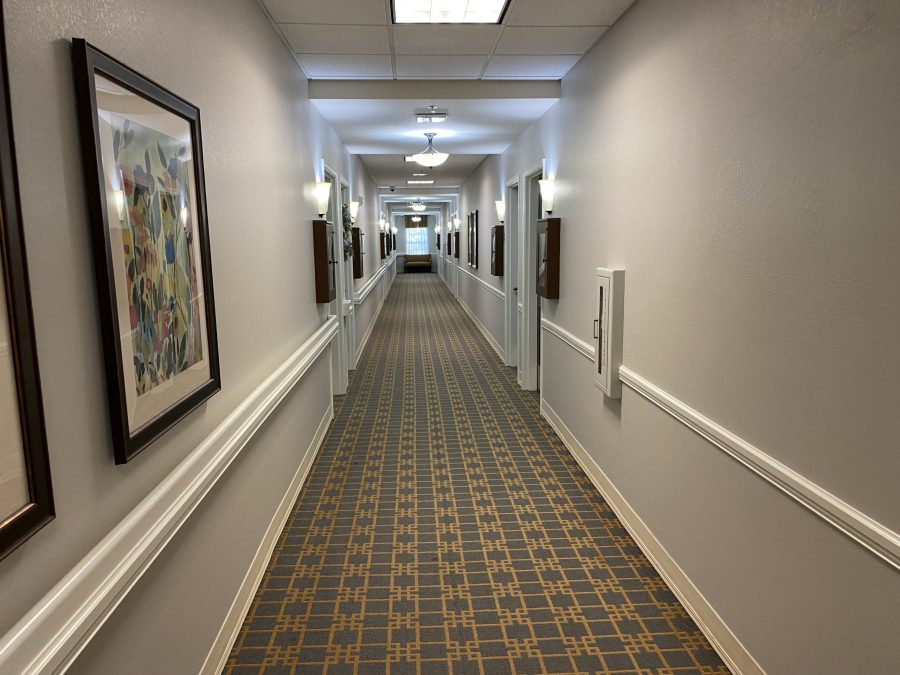 The Retreat Hallway Interior Painting Preview Image 6