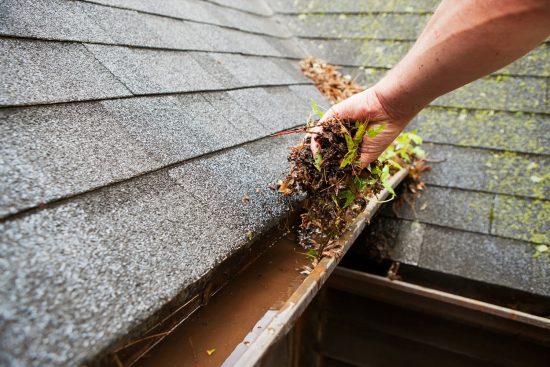 Gutter Cleaning Services Northeast Georgia