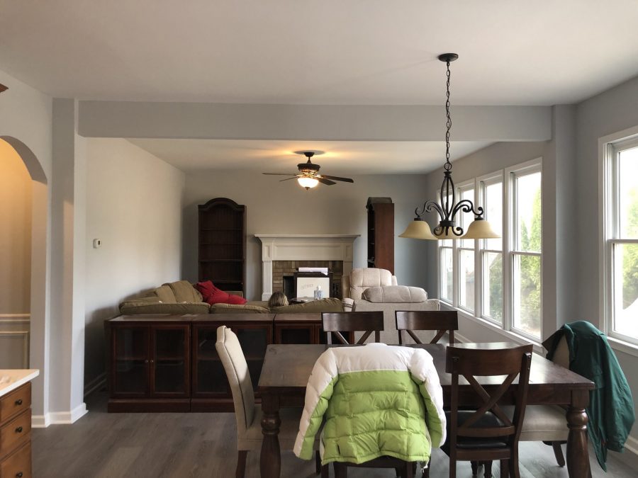 Living Room Painting