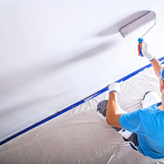 Professional Painter