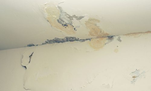 Water Damaged on Ceiling
