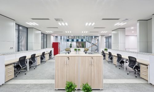 Office Interior Painting