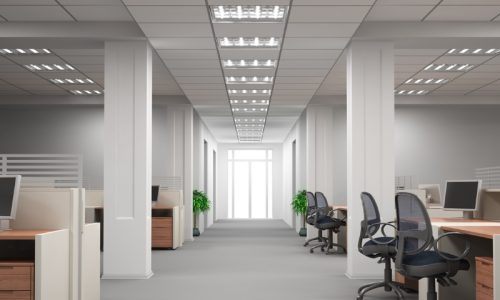 Office Interior Painting