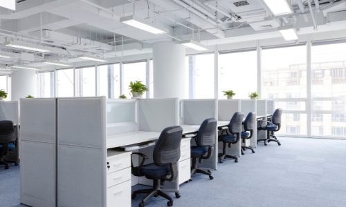 Office Interior Painting