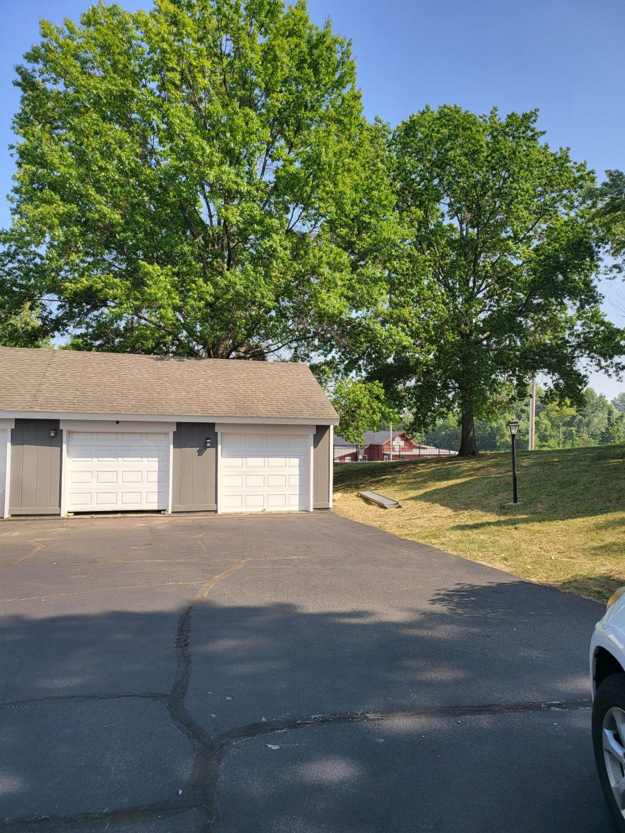 Townhome repair and refresh after photo Preview Image 8