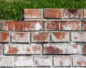 bricks with efflorescence 