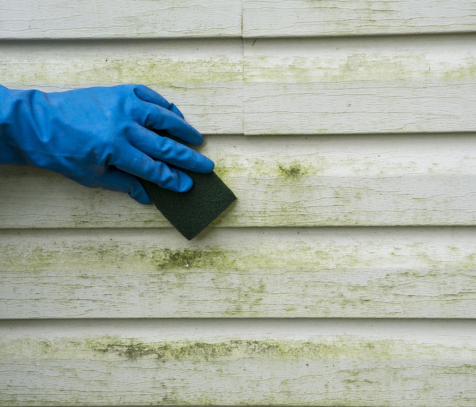 10 Common Exterior Paint Problems CertaPro Painters of Northern Arizona