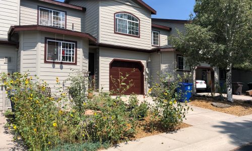 Residential Painters