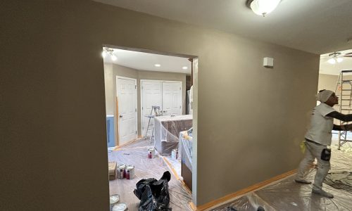 Kitchen Interior - In Progress