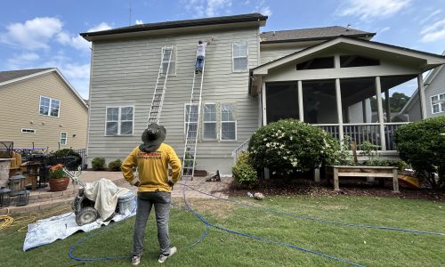 Residential - Exterior Back