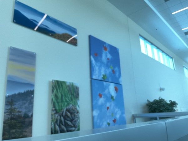 Clinic Painting - Interior Walls Preview Image 7