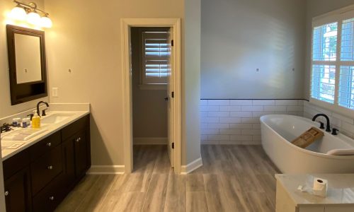 Primary Bathroom Painting