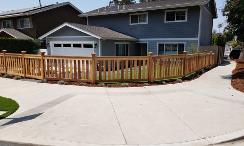 Fence Staining Project