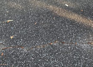 Commercial Office Asphalt Driveway Paving and Parking Lot Maintenance Before