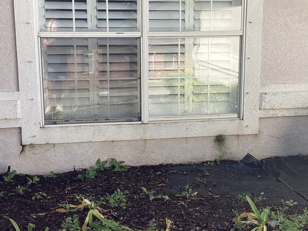 house exterior with faded stucco siding and damaged trim Preview Image 6