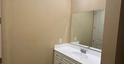 Interior Color and Sheen Correction