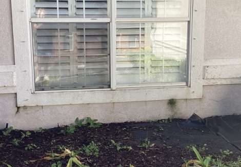house exterior with faded stucco siding and damaged trim