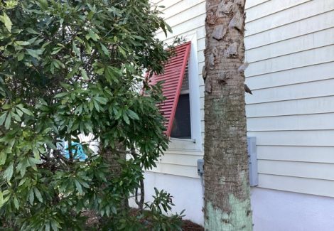 house siding with red window awning