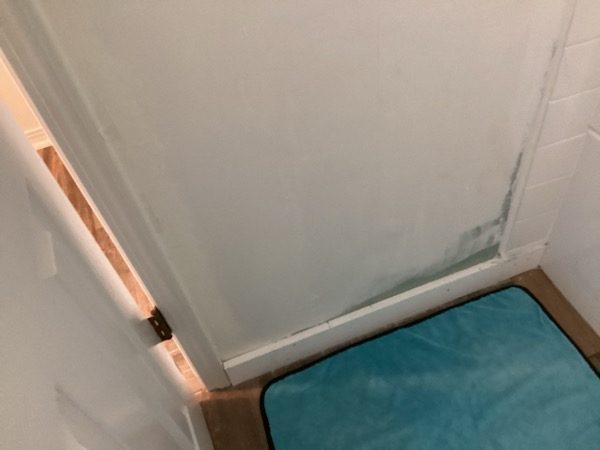 interior cabinet door with damaged paint++ + Preview Image 5