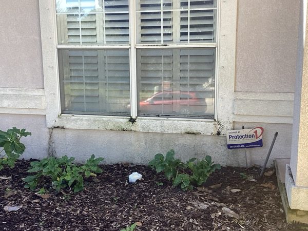 house exterior with faded stucco siding and damaged trim Preview Image 7