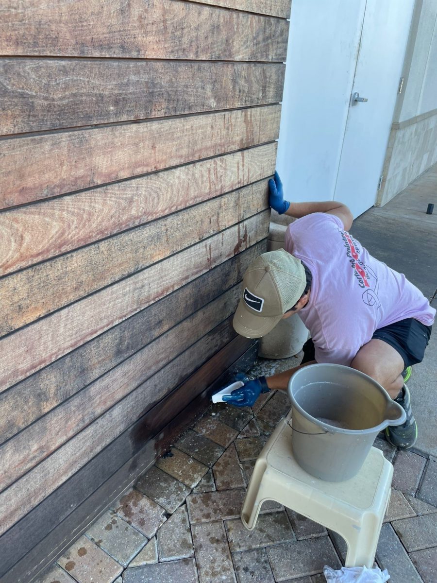 Exterior Staining Preview Image 1