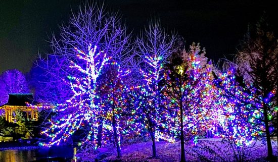 Professional Holiday light services Norwalk, CT