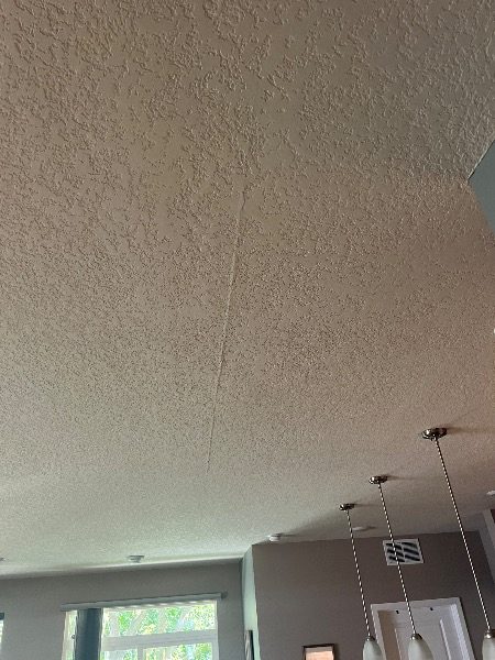knockdown textured ceiling before repaint Preview Image 6