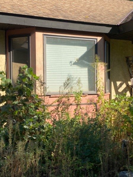 home window before repainting Preview Image 7