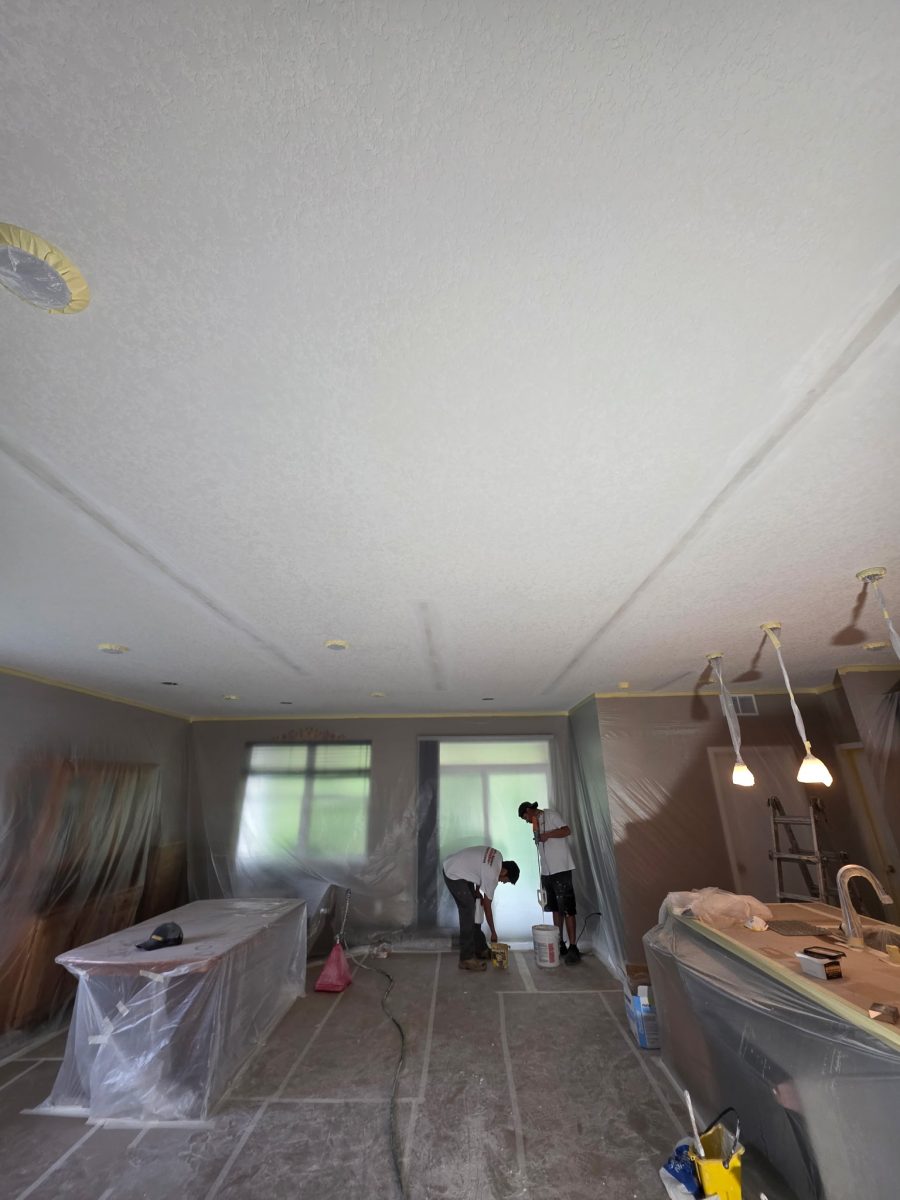 two painters in home interior covered in plastic sheeting Preview Image 4