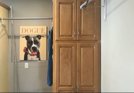 Cabinets before renovation