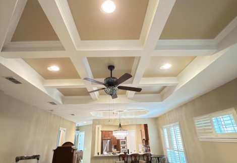 Ceiling Painting Project