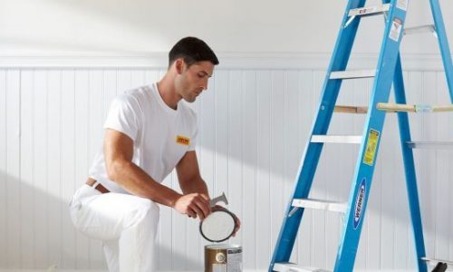 Interior Home Painters NWI